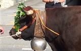 Pobytové zájezdy - Švýcarsko - Švýcarsko - Wallis - i zde najdete slavnosti shánění stád