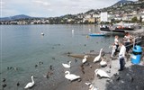 západní Švýcarsko - Švýcarsko - Montreux - založeno Římany na břehu Ženevského jezera