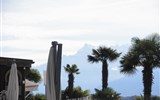 západní Švýcarsko - Švýcarsko - Montreux - mikroklima je tu velmi teplé a tak tu dobře prospívají i palmy